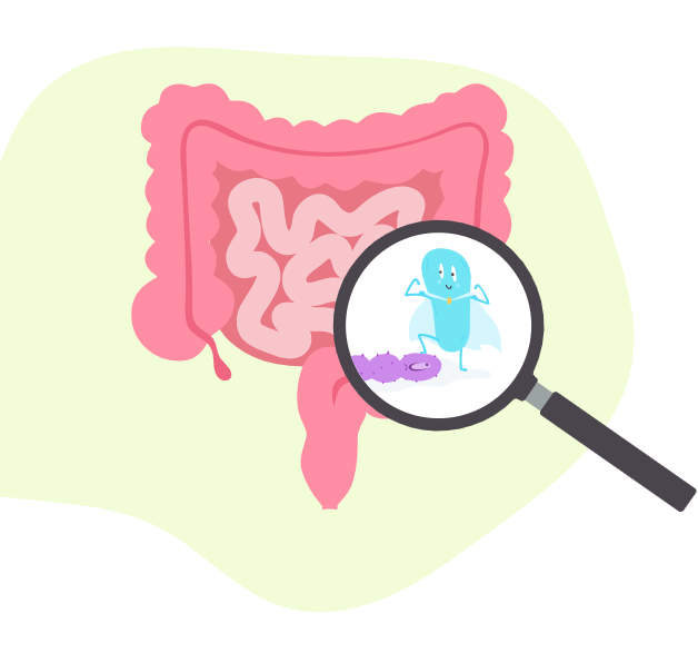 Ilustração de um intestino, onde uma lupa encontra micro-organismos.