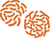 Ícone ilustrando o princípio ativo de FOS<sup>17</sup>